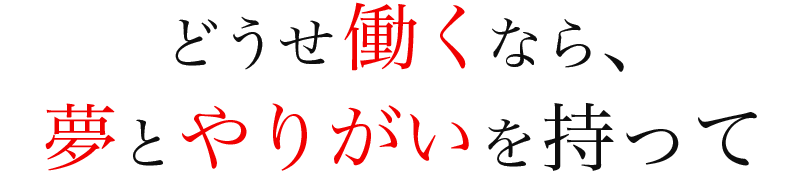 どうせ働くなら、夢とやりがいをもって